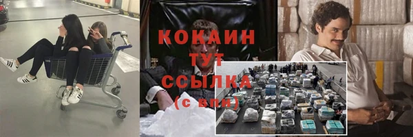 твердый Протвино