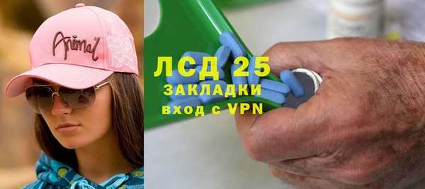 индика Арсеньев
