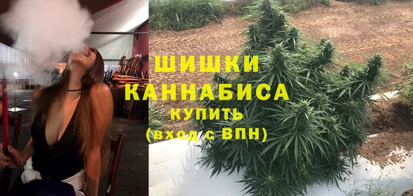 индика Арсеньев