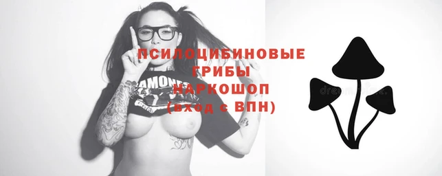 прущие крисы Армянск