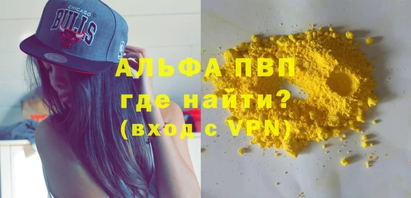 индика Арсеньев